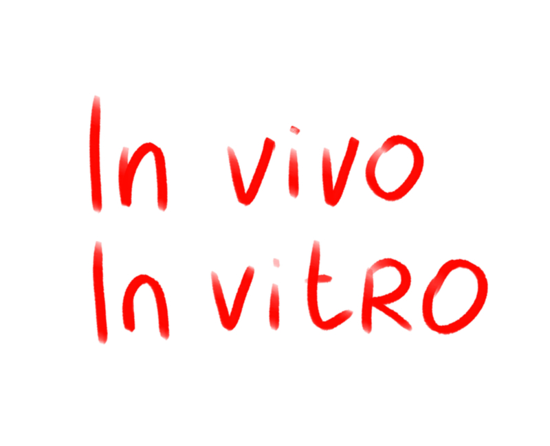 in vivo in vitro red lettering