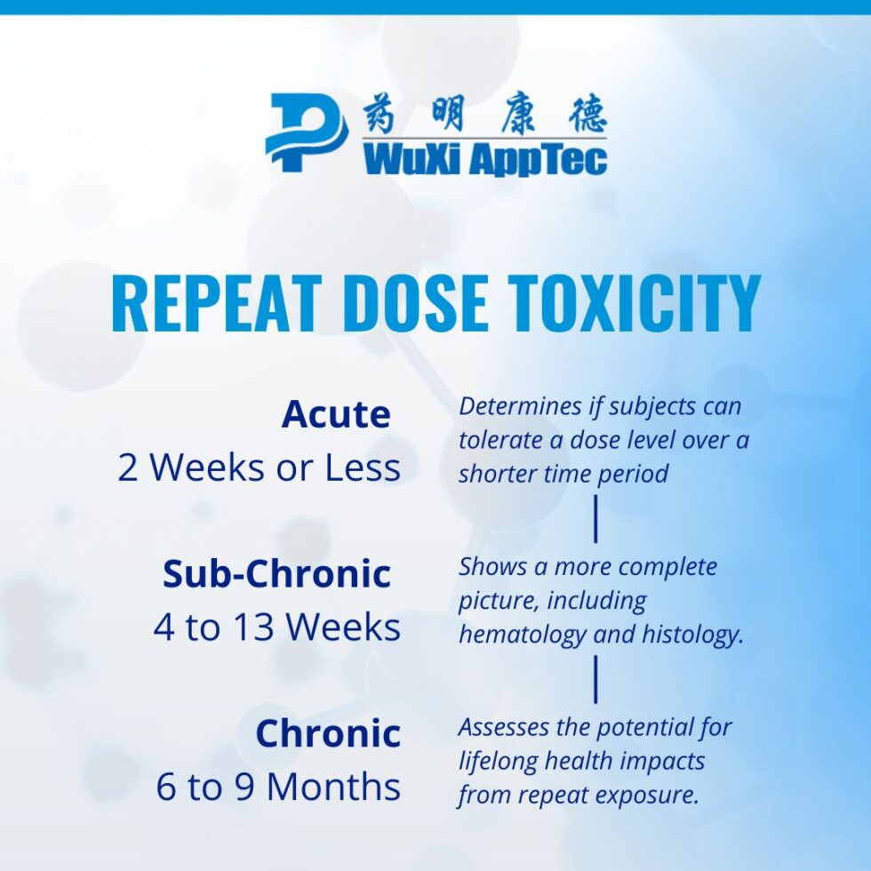 Repeat Dose Toxicity: 3 Possible Timeframes for Your IND-Enabling ...