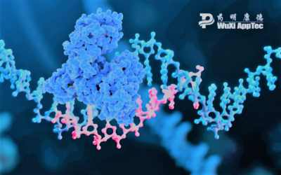 Rapid EMSA: A New Method of Testing PPB in Oligonucleotides