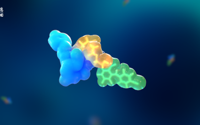 Bioanalytical Strategies for Peptide-Drug Conjugates (PDCs): Optimized Approaches for the Pharmaceutical Industry