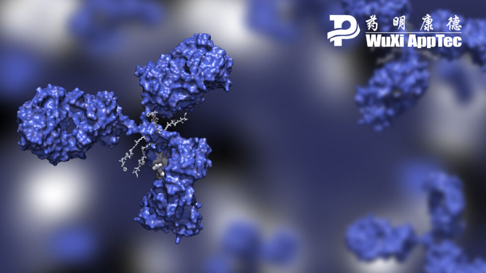 3 DMPK Strategies for ADC Drugs • WuXi AppTec Lab Testing Division