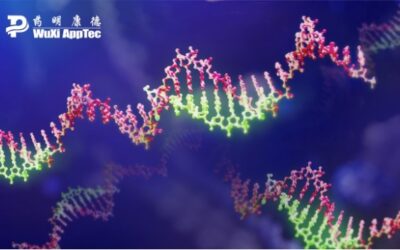 Advancing Oligonucleotide Drug Development with Ligand Binding Assays in the Preclinical Stage