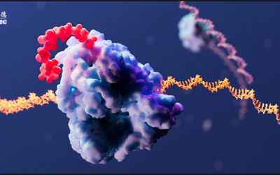 Five Ways LNP-mRNA is Shaping the Future of Medicine