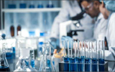 The Future of Precision Medicine: How Bioanalysis is Transforming Personalized Healthcare