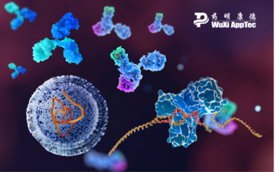 What Is Large Molecule Preclinical Testing? Overview, Objectives, and Key Test Methods