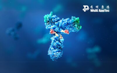 What It Takes to Optimize Analytical Strategies for ADC Development