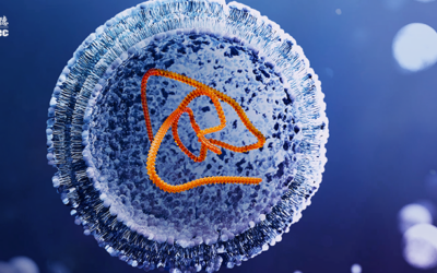 6 Factors That Can Make or Break the mRNA Therapeutic Development