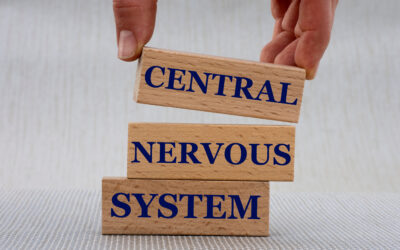 Four Essential Pointers to Navigate CNS Regulations and Safety Assessments