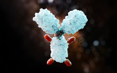 DAR Research on ADCs Using LC-MS