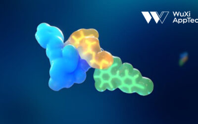 A Strategic Roadmap for Peptide Preclinical Studies: 3 Key Stages