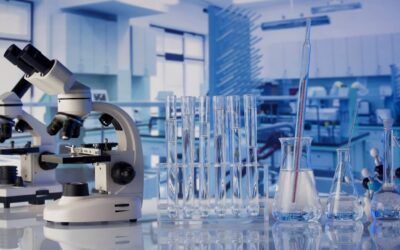Bioanalytical Method Development and Validation: What IND Sponsors Need to Know