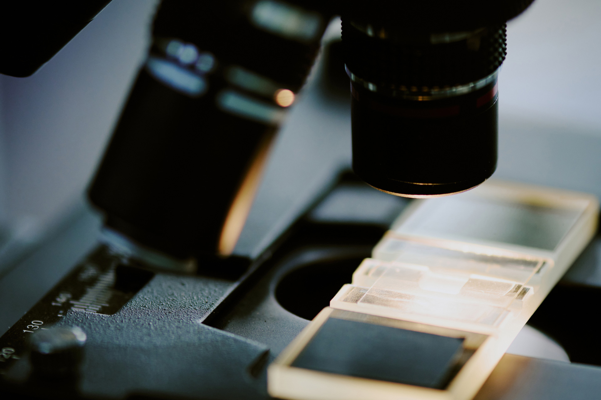 How to Validate Whole Slide Imaging for Toxicological Pathology