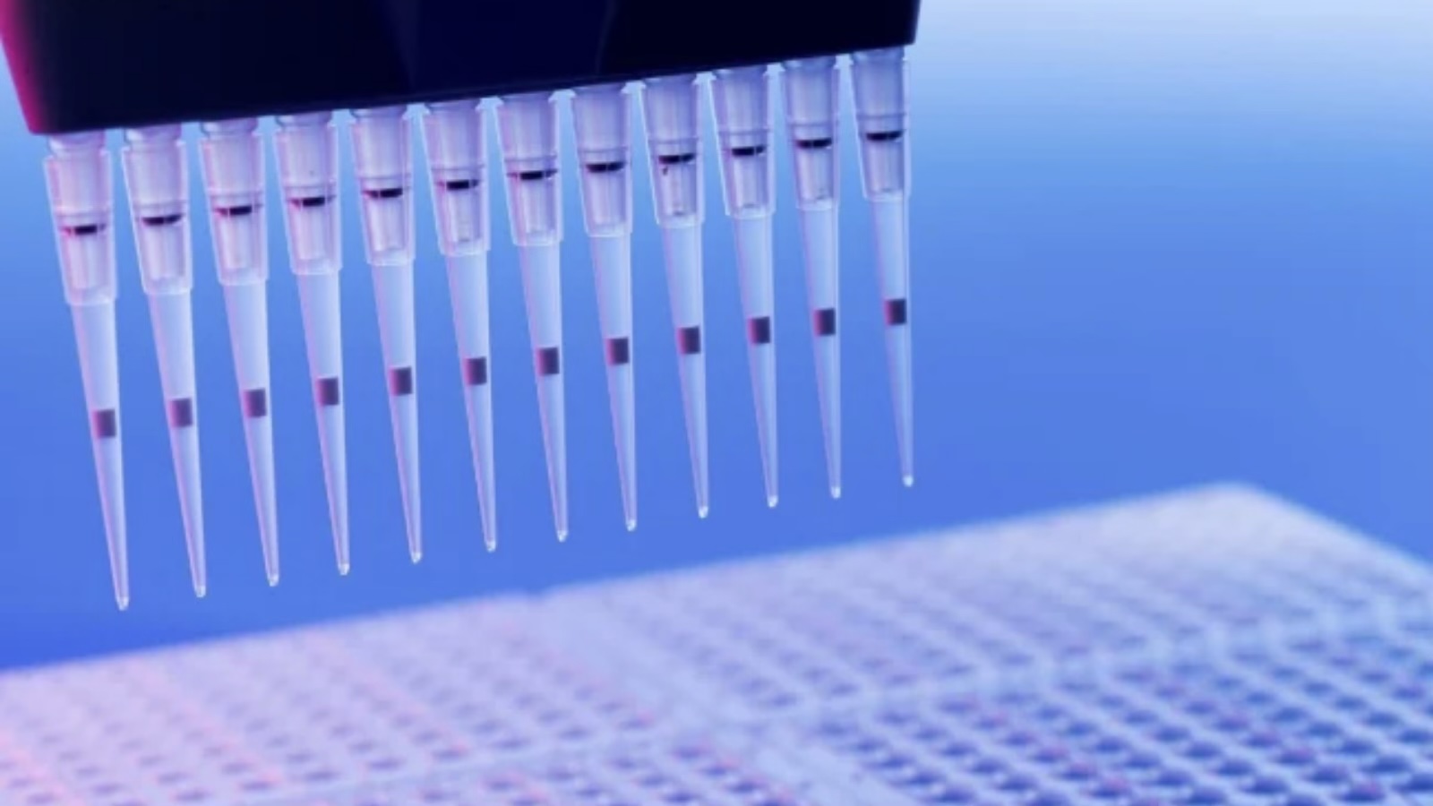 In Vitro ADME Testing: When It’s Enough – and When It’s Not