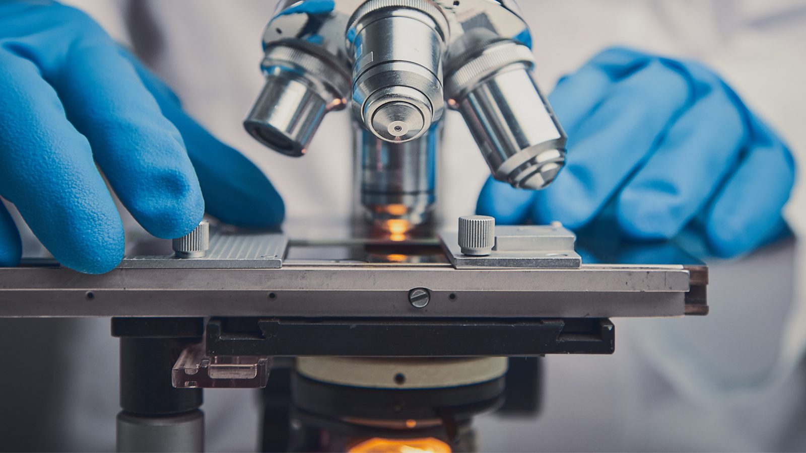 From IND to Clinic: Lab Testing Milestones in Early Clinical Trials