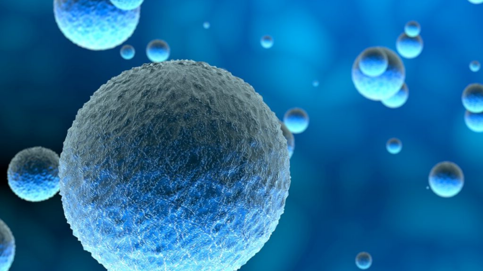 What Are GLP Toxicology Studies and Why Are They Required?